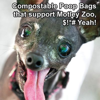 Le sac de dunette a réutilisé le sac 2020 biodégradable de dunette de chien de parfum de sacs de poo de chienchien de produits de l'animal familier 9x13